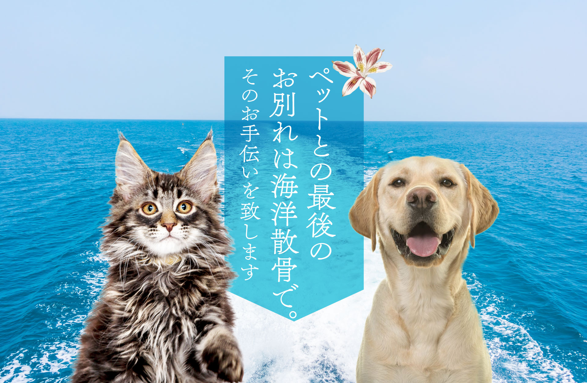 slideImage